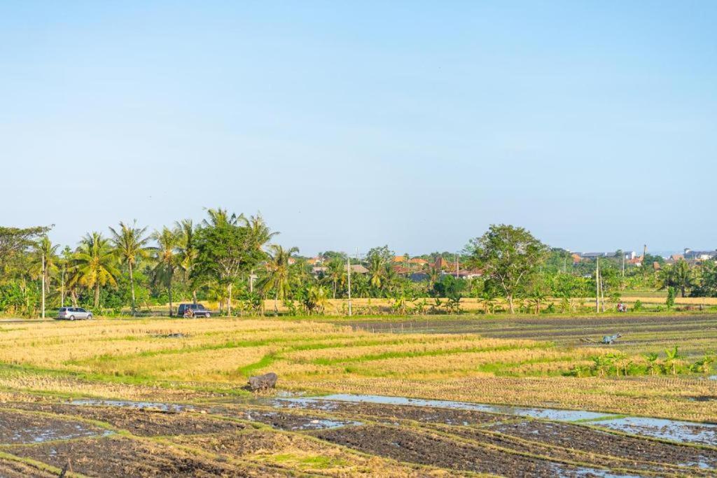 Pondok Lulik Seseh Beach Munggu Екстер'єр фото
